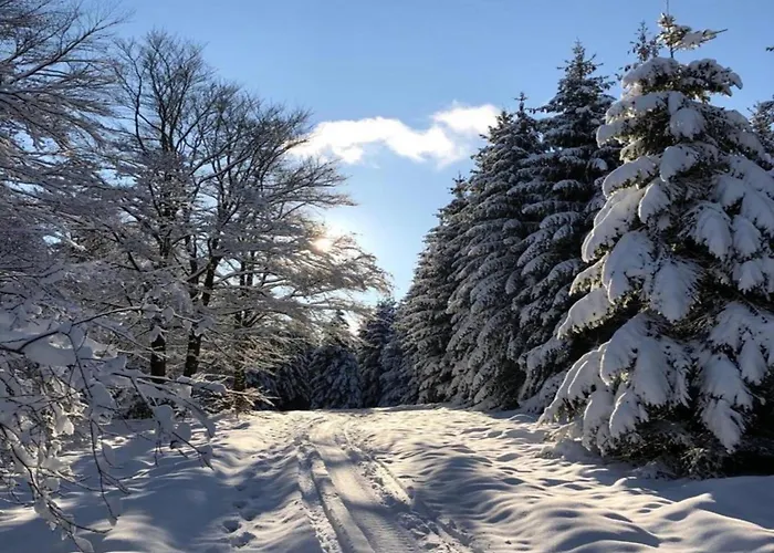 Appartamento Im Sauerland *